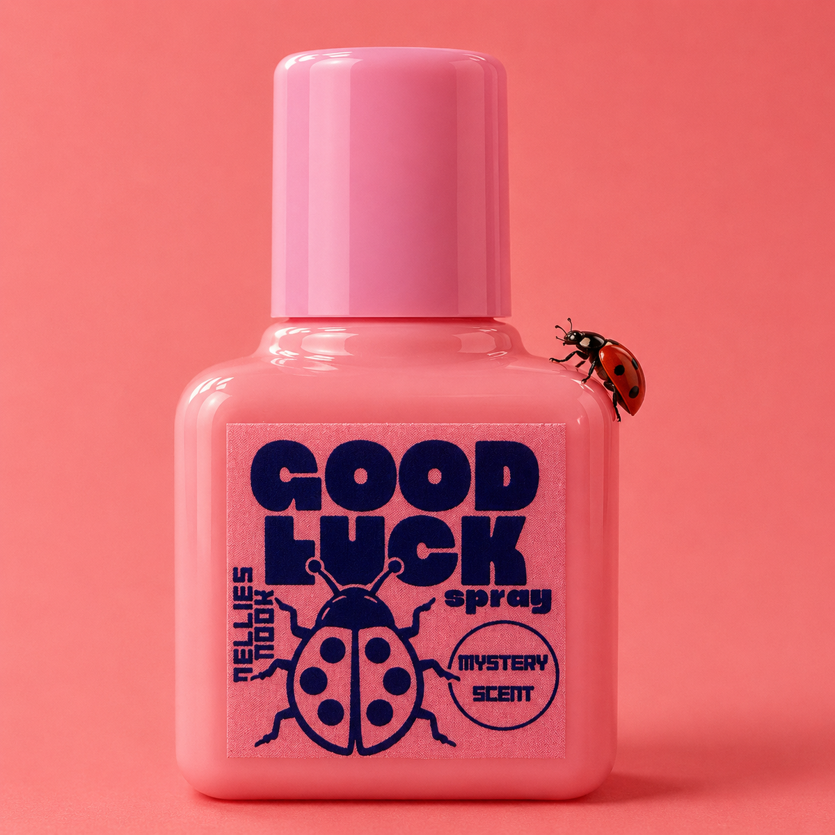 Good Luck Spray - Ladybug